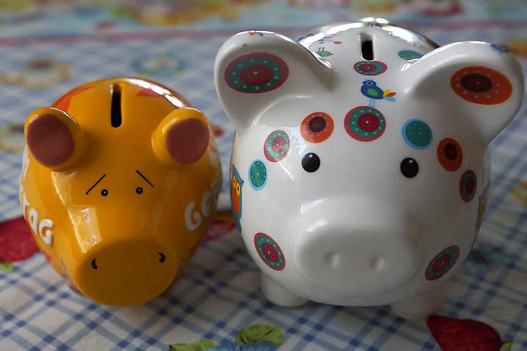 Image by Vincentia from Pixabay 

Adult piggy banks